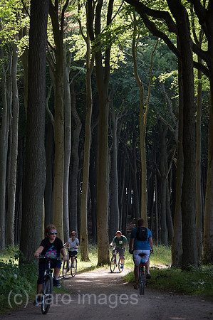 00Y130729D010CAROE.JPG