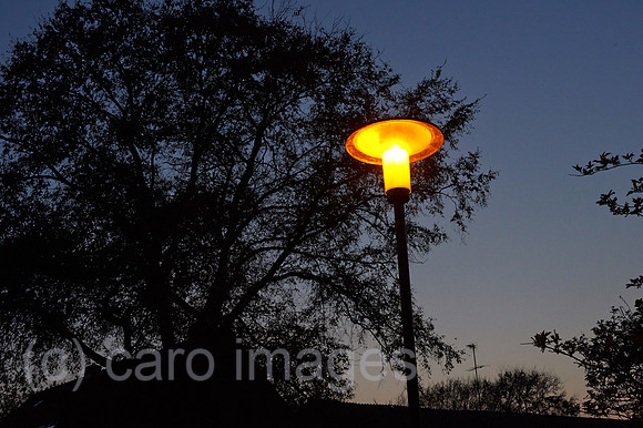 00Y140419D013CAROE.JPG