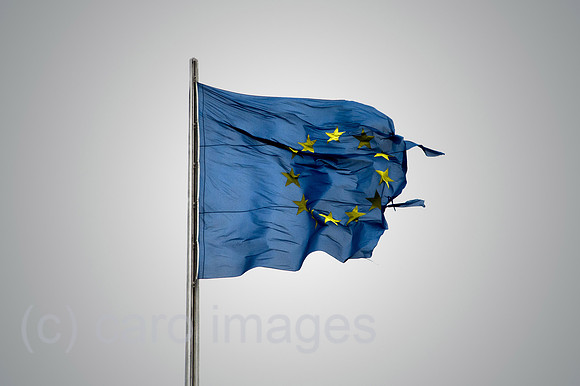 00Y131209D051CAROE.JPG