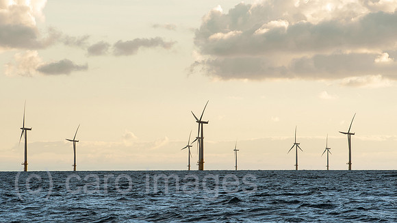 00Y130929D041CAROE.JPG