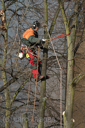 00Y130403D002CAROE.JPG