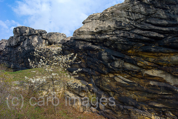 00Y120408D039CAROE.JPG
