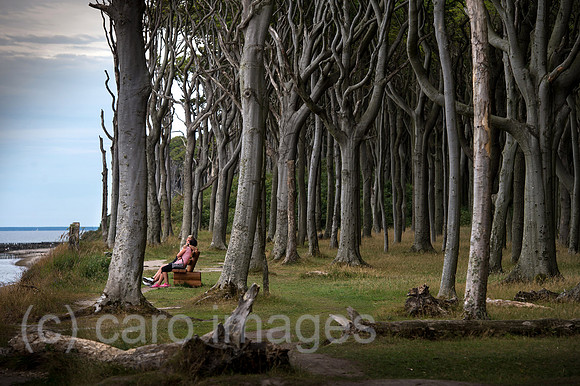 00Y130729D072CAROE.JPG