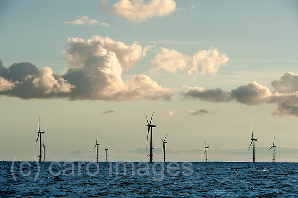 00Y130929D004CAROE.JPG
