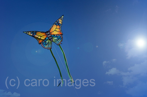 00Y131001D071CAROE.JPG