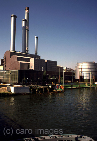 D023031ACARO.JPG