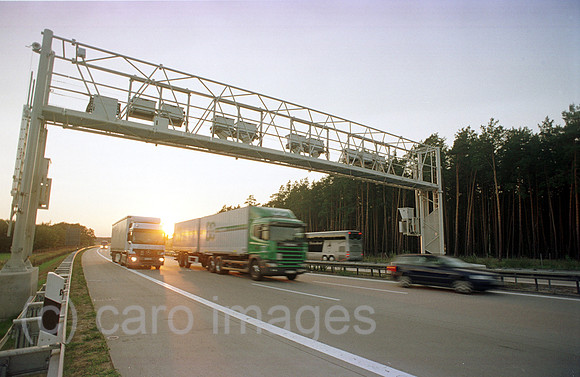00C30630ACARO.JPG