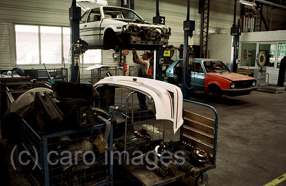 D024615ACARO.JPG