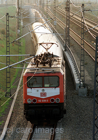 D000427ACARO.JPG