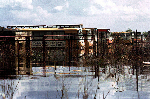 D023331ACARO.JPG