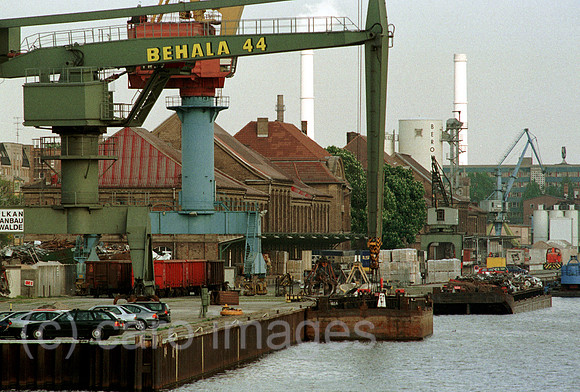 D057525ACARO.JPG