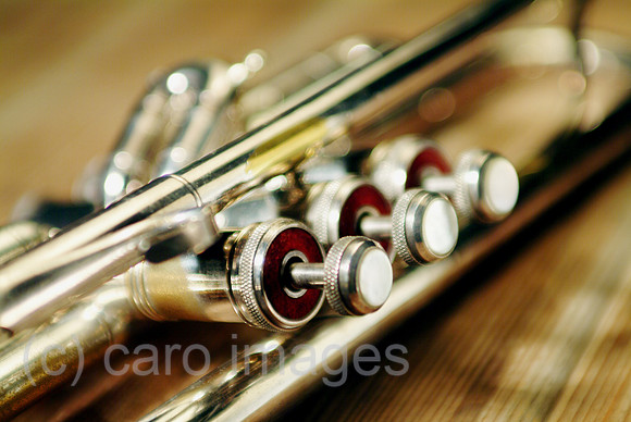 00W031226D020CARO.JPG