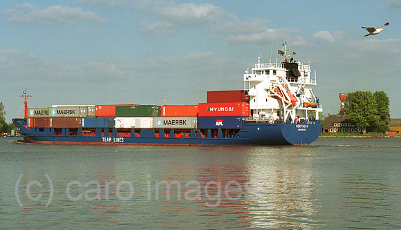 G013311ACARO.JPG