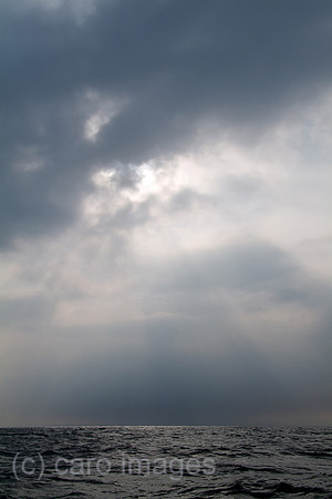 00W100903D005CAROE.JPG