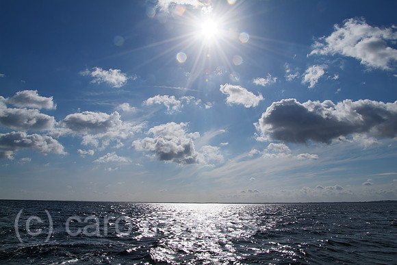 00W100903D007CAROE.JPG