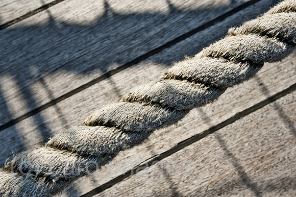 00W101010D009CAROE.JPG