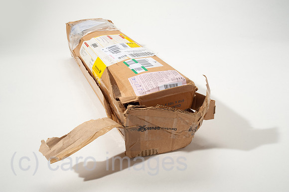 00W101126D005CAROE.JPG