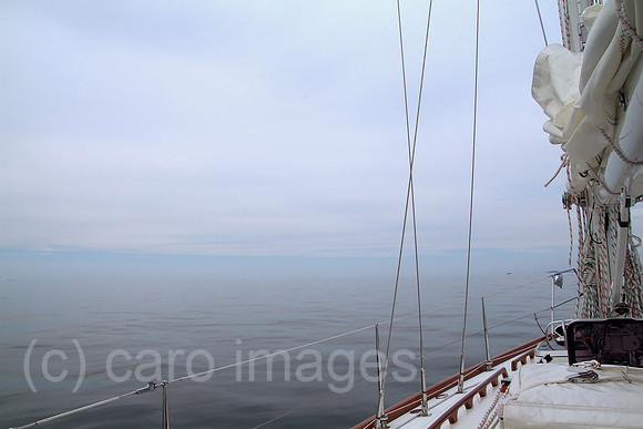 00W100827D002CAROE.JPG