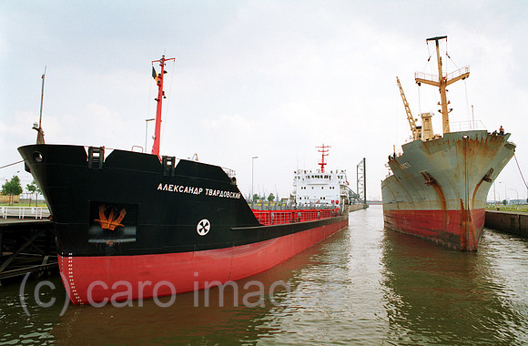 00F16325ACARO.JPG