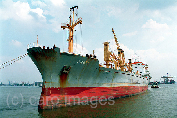 00F16324ACARO.JPG