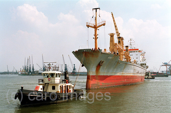 00F16323ACARO.JPG