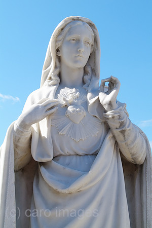 00W061215D003CARO.JPG