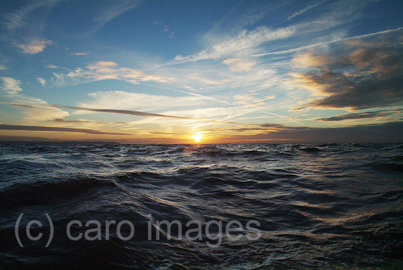 00W061008D001CAROE.JPG