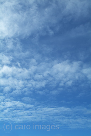 00W061025D008CAROE.JPG