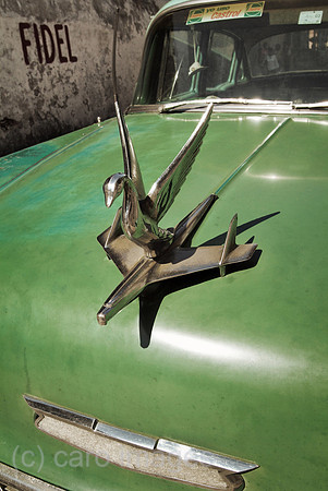 00W061223D011CAROE.JPG