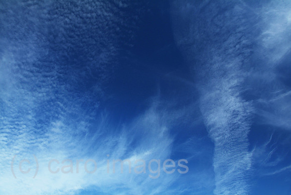 00W061025D005CAROE.JPG