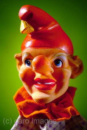 00W070226D007CAROE.JPG