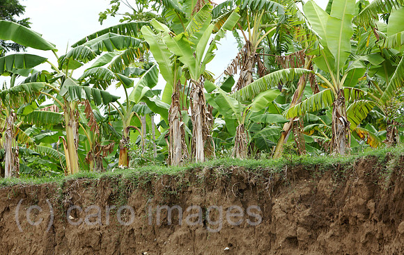 00U100526D029CAROE.JPG