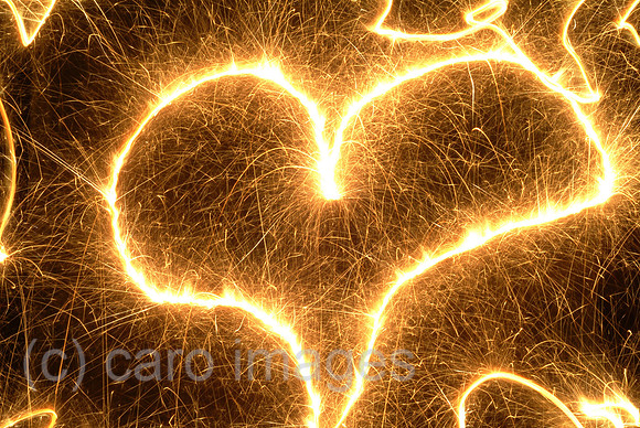 00W050226D013CAROEP.JPG