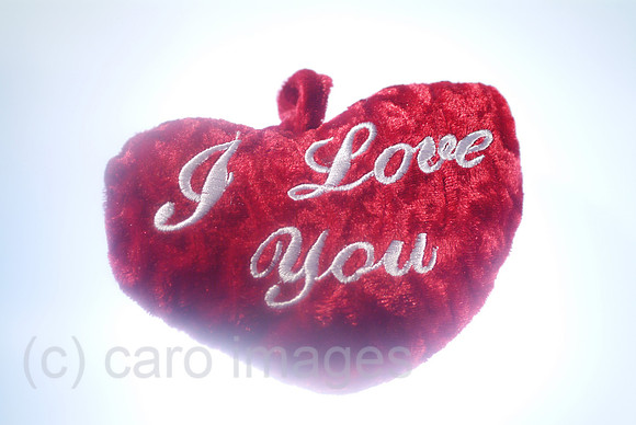00W050307D001CARO.JPG