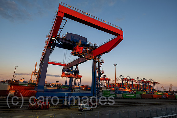 00A220831D458CAROEX.JPG