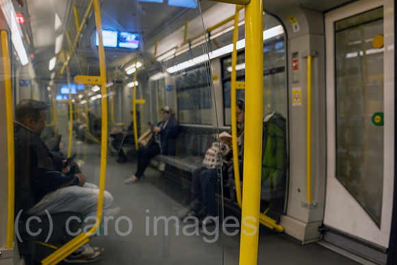 00A230519D038CAROEX.JPG