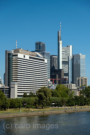 00A250818D006CAROEX.JPG