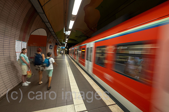 00A250818D214CAROEX.JPG