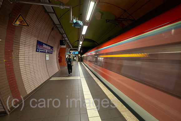 00A250818D219CAROEX.JPG