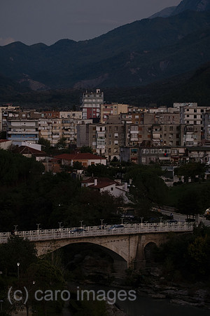 00A240926D2671CAROEX.JPG