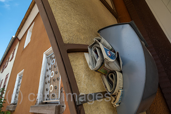 00A250819D296CAROEX.JPG