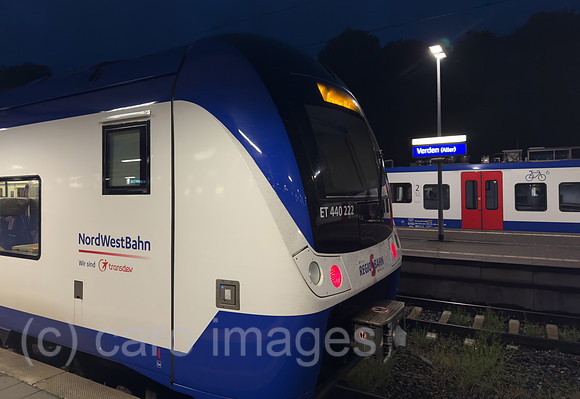 00A250608D012CAROEX.JPG