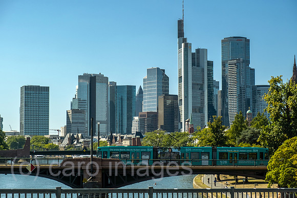 00A250818D244CAROEX.JPG