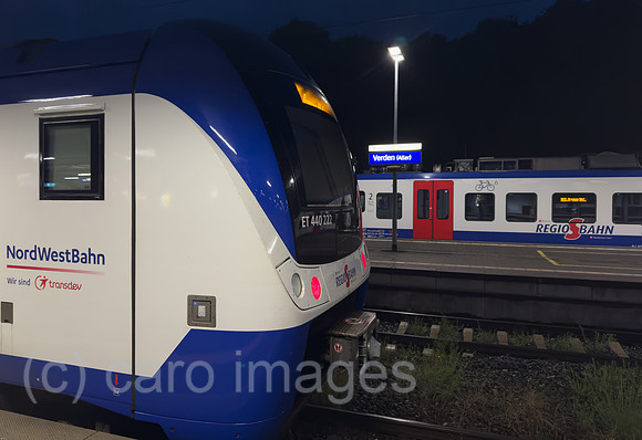 00A250608D011CAROEX.JPG