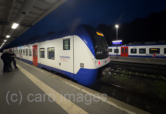 00A250608D013CAROEX.JPG