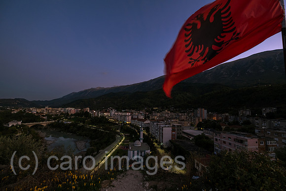 00A240926D2693CAROEX.JPG