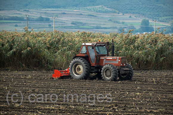 00A240924D002CAROEX.JPG