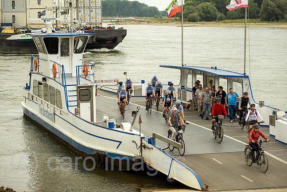 00A250816D597CAROEX.JPG