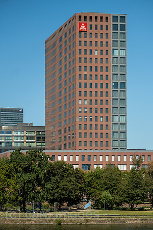 00A250818D020CAROEX.JPG