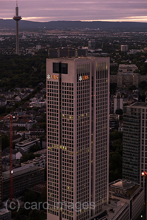 00A250817D826CAROEX.JPG